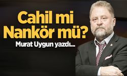 Cahil mi, Nankör mü?