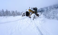 Büyükşehir’den 5 ilçede kar mesaisi: 35 kapalı grup yolunda 34'ü açıldı