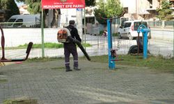 Serdivan’da yeşil alan bakım çalışmaları sürüyor