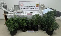 İklimlendirme sistemiyle uyuşturucu yetiştirilen eve operasyon