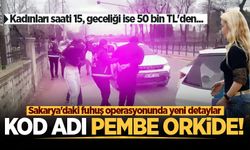 Sakarya'daki fuhuş operasyonunda yeni detaylar!