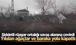 Şiddetli rüzgar ortalığı savaş alanına çevirdi: Yıkılan ağaçlar ve baraka yolu kapattı