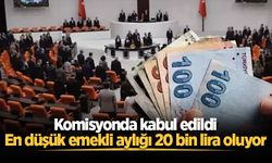 Komisyonda kabul edildi: En düşük emekli aylığı 20 bin lira oluyor