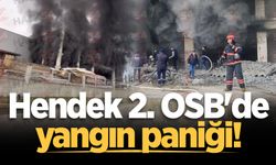 Hendek 2. OSB'de yangın paniği!