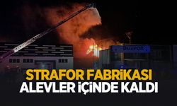 Strafor fabrikasında yangın