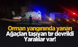 Ormanda yanan ağaçları taşıyan tır devrildi: 3 yaralı