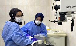 Güz Yarıyılı’nda 1.641 öğrenci iş deneyimi kazandı