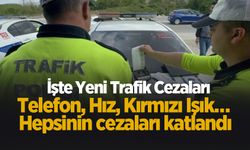 Yeni cezalar dudak uçuklattı; Hangi ihlale ne kadar ceza ödenecek?