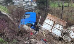 Bolu’da tır şarampole devrildi, elektrik direği zarar gördü