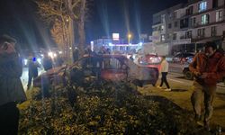Sakarya plakalı otomobil refüjdeki ağaca çarptı: 1 kişi yaralandı