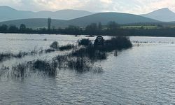 Sakarya Nehri üzerindeki adacıkta balık tutmak isteyen 2 kişi mahsur kaldı