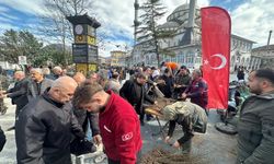 Dağıtılan 2 bin meyve fidesi toprakta hayat bulacak