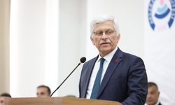 Tavuk eti ihracatı getirilen kısıtlama için uyarı geldi