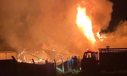 Bilecik’te çıkan yangında iki bağ evi kül oldu