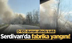 Serdivan'da fabrika yangını!