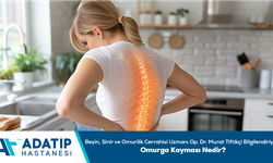 Beyin, Sinir ve Omurilik Cerrahisi Uzmanı Op. Dr. Murat Tiftikçi bilgilendiriyor: Omurga kayması nedir?