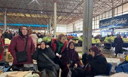 CHP Sakarya İl Kadın Kolları Hendek semt pazarında