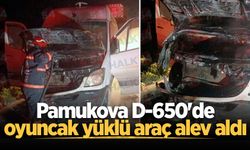 Pamukova D-650'de oyuncak yüklü araç alev aldı