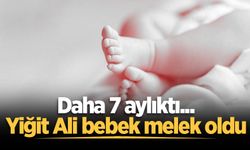 Daha 7 aylıktı... Yiğit Ali bebek melek oldu