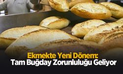 Ekmekte yeni dönem