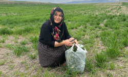 Şahinde Baygül: Anadolu kadını kıyafetiyle değil, duruşuyla değerlendirilir