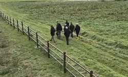 20 yıl önce kaybolan 3 kişi cinayete kurban gitmiş