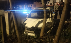 İftar sonrası kaza: Köpeğe çarpmamak direksiyonu kırdı