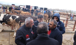 Hayvan pazarında inceleme yaptılar