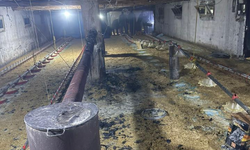 Tavuk çiftliğinde yangın paniği