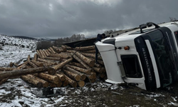 Tomruk yüklü tır devrildi