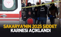 Sakarya'nın 2025 şiddet karnesi!