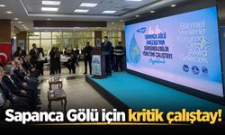 Sapanca Gölü için kritik çalıştay!