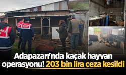Adapazarı'nda kaçak yaban hayvanı operasyonu! 203 bin lira ceza kesildi