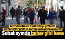 Sakarya'da şubat ayında bahardan kalma günler yaşanıyor