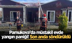 Pamukova'da müstakil evde yangın paniği! Son anda söndürüldü