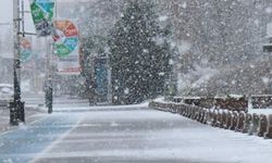Sakarya'nın o ilçelerine kar uyarısı geldi!