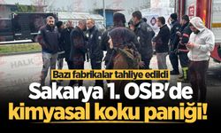 Sakarya 1. OSB'de kimyasal koku paniği! Bazı fabrikalar tahliye edildi