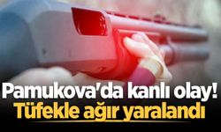 Pamukova'da kanlı olay! Tüfekle ağır yaralandı