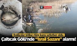 Çaltıcak Gölü'nde “İsrail Sazanı” alarmı! Balıkçılar istilacı türe karşı seferber oldu