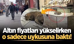 Uzun Çarşı'da gülümseten anlar: Altınlardan daha çok ilgi çekti