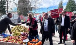 CHP İl Kadın Kolları Semt Pazarı’nda saha çalışması