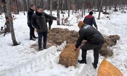 Yaban hayvanları için yem bıraktılar