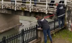 Uludere Çayı’ndaki balık ölümlerinin nedeni ortaya çıktı