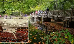 Milli Parklar ile ilgili düzenleme TBMM'de kabul edildi