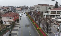 Sakarya bayramı da baharı da rengarenk karşılıyor