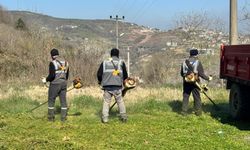 Serdivan’da bahar mesaisi başladı