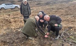 Sakarya’da yangın sahaları yeniden yeşeriyor