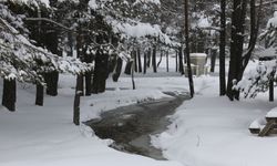 Abant Gölü Milli Parkı beyaza büründü