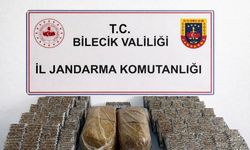 Bilecik'te 13 bin 580 makaron ve 10 kilo kıyılmış tütün ele geçirildi
