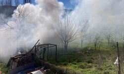 Bilecik'te bağ evinde çıkan yangın korkuttu